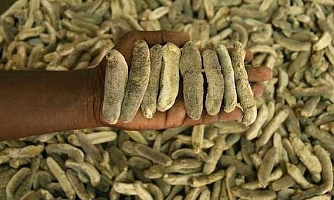 Representative Image&nbsp;