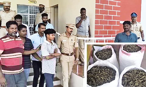 Peddler Appala Naidu in police custody; (inset) the contraband seized from a forest area near Anakaputhur