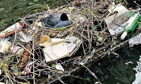 Representative Image&nbsp;