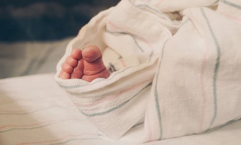 Representational Image (PTI)