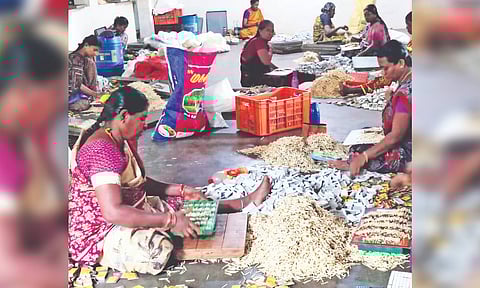 Women engaged in making match sticks at a factory in Kovilpatti