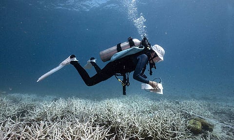 Accelerating our ocean’s protection