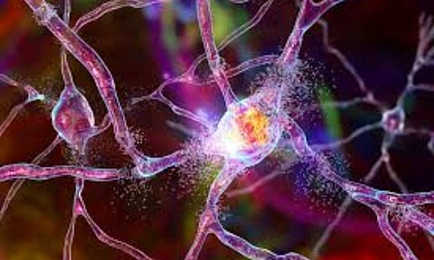 Representative Image (IANS)