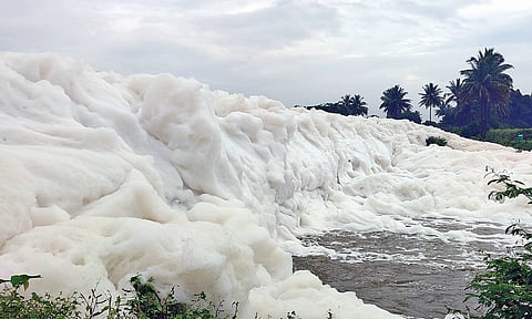 Foaming of Thenpennai river near Hosur in Krishnagiri&nbsp;