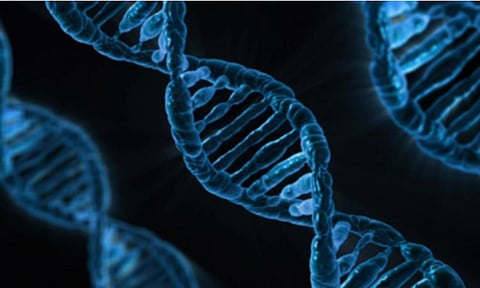 Representative Image (IANS)