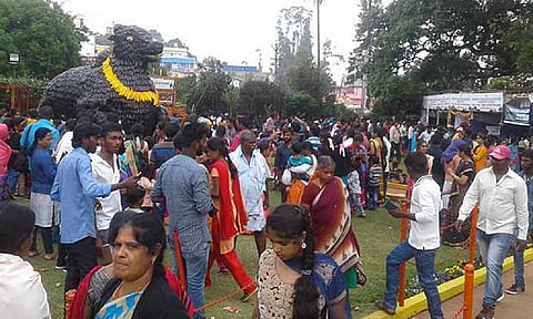 The vegetable show in Kotagiri Expo (File image)