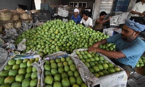 Representative Image (IANS)&nbsp;