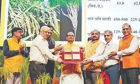 Union Agriculture Minister Shivraj Singh Chouhan releasing genome-edited rice varieties developed in India, on Monday
