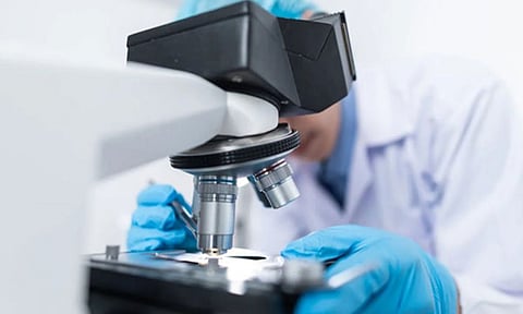 Representative Image (ANI)