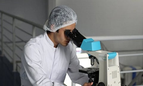 Representative Image (ANI)