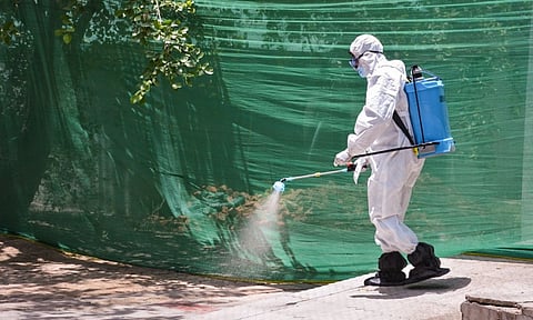 Kanpur: A worker sprays medicine at Kanpur zoo premises amid apprehensions of possible spread of bird flu (PTI)