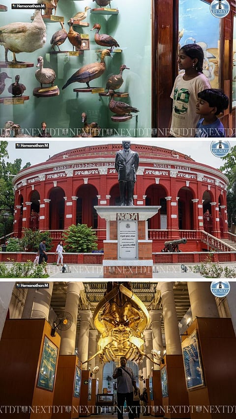 Visitors throng Egmore Museum on International Museum Day