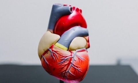 Representative Image&nbsp;