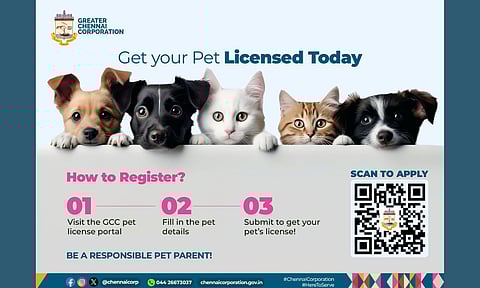 Chennai Corporation launches online pet licensing facility