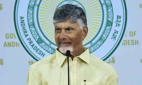 Andhra Pradesh Chief Minister N Chandrababu Naidu (PTI)&nbsp;