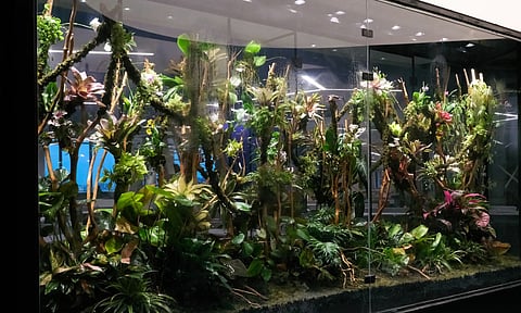 Terrarium created by Sai Krishnan&nbsp;