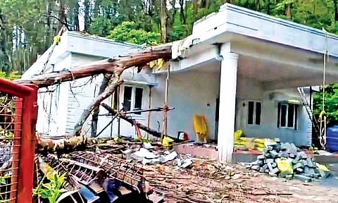 A huge tree fell on the ketti police station which is under renovation&nbsp;