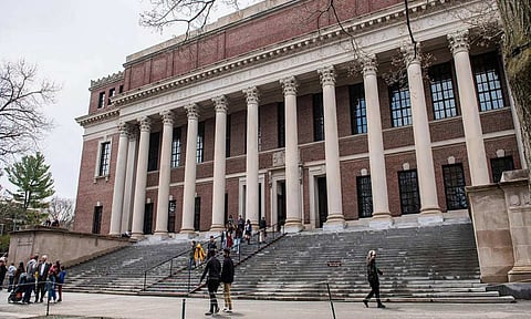 The brain gain: Defunding Harvard hurts America