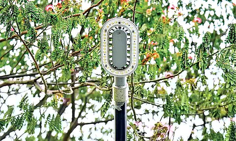 Representative image of street lights&nbsp;