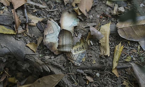 Burnt pieces of a currency note seen among debris near the residence of Delhi High Court judge Justice Yashwant Varma, in New Delhi, Sunday, March 23, 2025 (PTI)&nbsp;