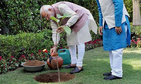 Prime Minister Narendra Modi planting a sapling (PTI)