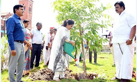 Greater Chennai Corporation Mayor R Priya launched the drive to plant one lakh native tree saplings across the city on Thursday (Photo: X-@chennaicorp)