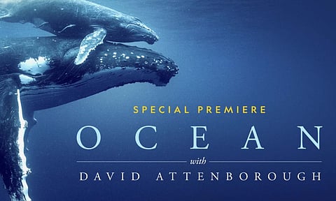 ''Ocean'' is David Attenborough''s greatest, most personal account yet: team behind Nat Geo documentary (AP)&nbsp;