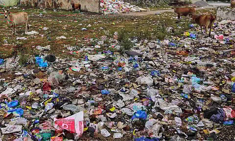 Representative Image&nbsp;