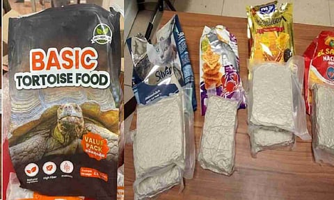 Over 6 kg of hydroponic ganja worth Rs 6.2 crore seized at Chennai airport&nbsp;