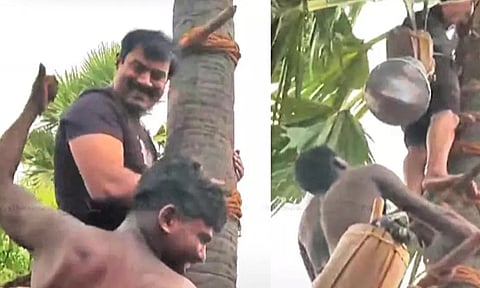 Naam Tamilar Katchi chief Seeman climbs palm tree