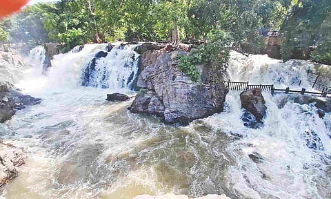 Gushing waters in Hogenakkal on Friday