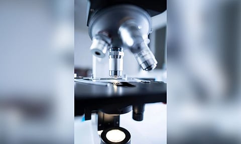 Representative Image (Pexels)