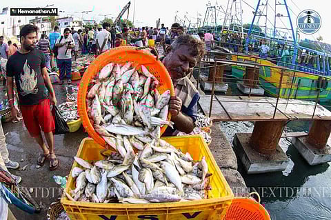 Seafood lovers thronged Kasimedu fish market on Sunday (Photo: Hemanathan)