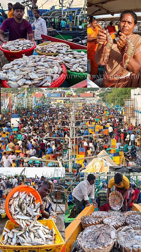 Kasimedu fish market in Chennai sees rush as fishing ban ends