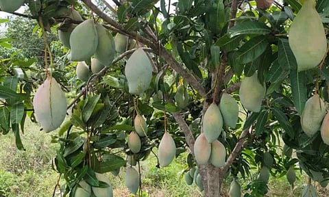 Representative Image&nbsp;