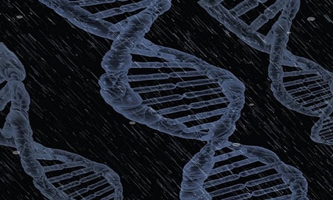 Representation Image (ANI)