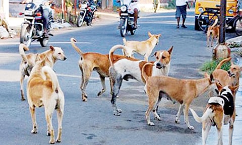 Representative Image&nbsp;