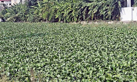 &nbsp;Uyyankondan river in Tiruchy