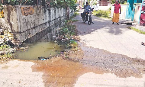 Sewage keeps flowing on to the street in Alapakkam
