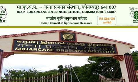 ICAR-Sugarcane Breeding Institute (SBI), Coimbatore&nbsp;