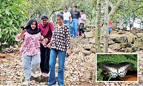 Participants of Green Walk conducted by Thanneer Organisation. (inset) Blue Mormon also known as dragon butterflies