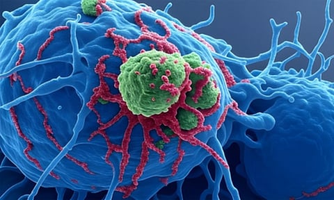 Representative Image&nbsp;