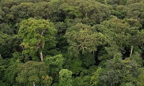 Representative Image&nbsp;