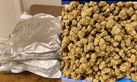 Gold, high quality ganja worth Rs 1.05 crore seized at Chennai Airport; two arrested
