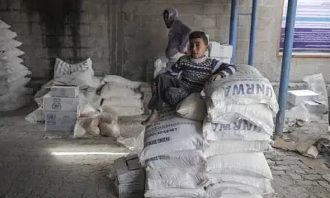 Representative image