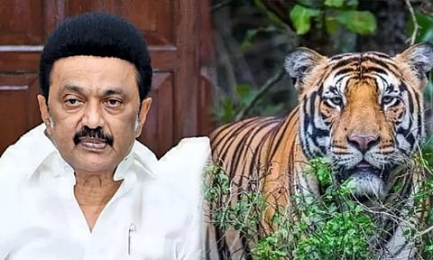 Tamil Nadu roars with pride: CM Stalin on International Tigers day