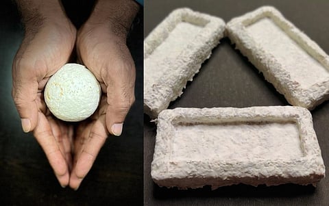 Mycelium can play significant role in the future of the biodegradable materials (photo credit: Naturewrks Technologies Ltd)