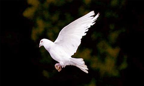 Representative Image&nbsp;