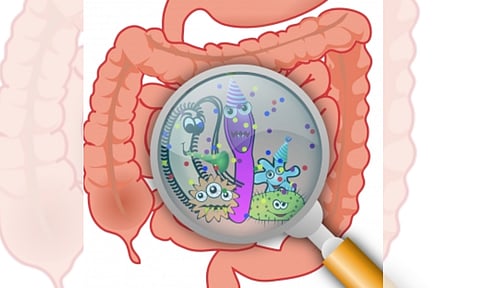 Non-antibiotic drugs can alter the microbiome and increase the risk of gut infections (IANS)