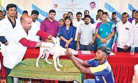 Mayor R Priya and senior officials at the launch of the Corporation’s 60-day vaccination drive&nbsp;